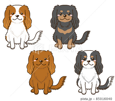 キャバリアのイラスト素材