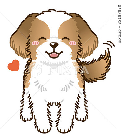 シーズーのイラスト素材