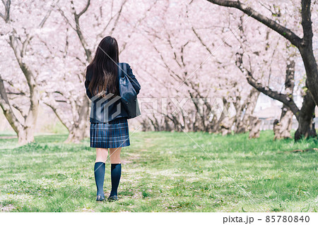 女子高生 後ろ姿 高校生 女の子の写真素材