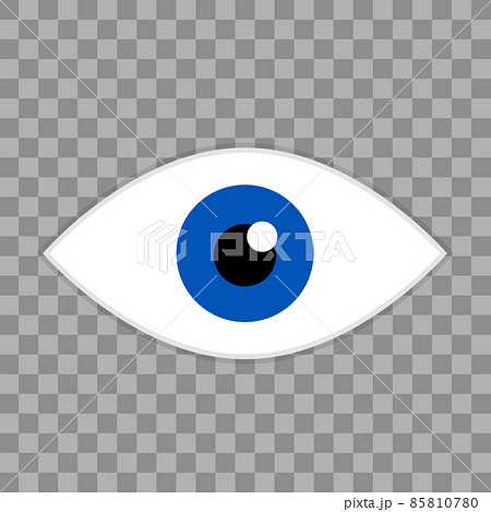 眼球 目 目玉 リアルのイラスト素材