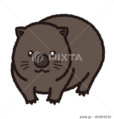 オーストラリア かわいいのイラスト素材