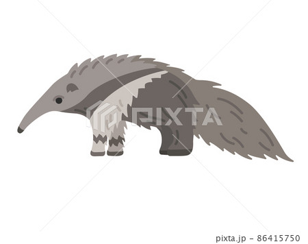 アリクイのイラスト素材