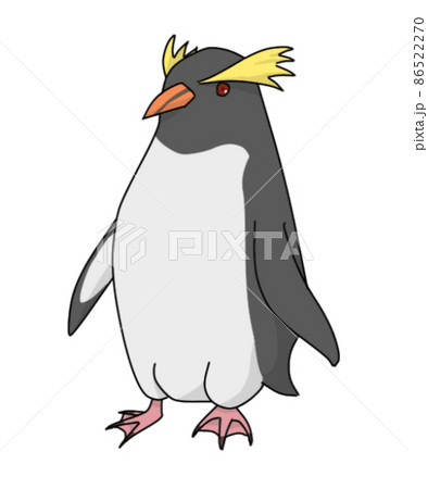 イワトビペンギン キャラクターの写真素材
