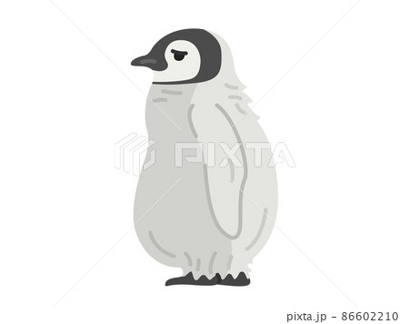赤ちゃんペンギンのイラスト素材