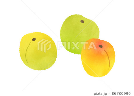 梅の実のイラスト素材 梅の実のイラスト素材