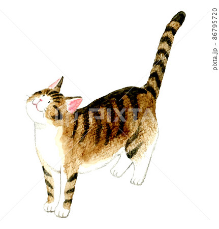 上を見上げる猫のイラスト素材 - PIXTA