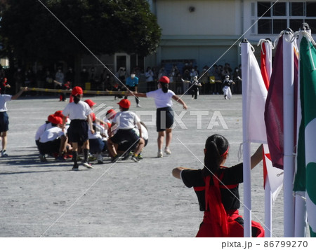 応援団 団旗 応援 運動会の写真素材