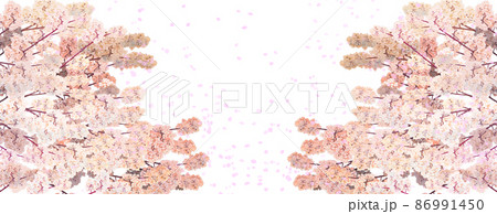 桜の花 花びら のイラスト素材集 ピクスタ