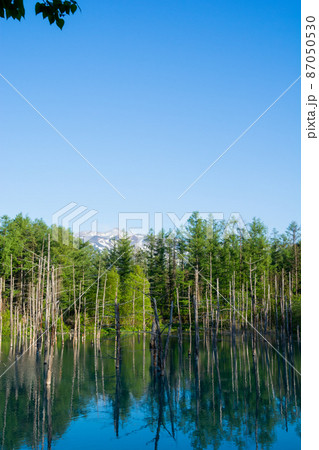 北海道 壁紙 美瑛 青い池の写真素材 北海道 壁紙 美瑛 青い池の写真素材