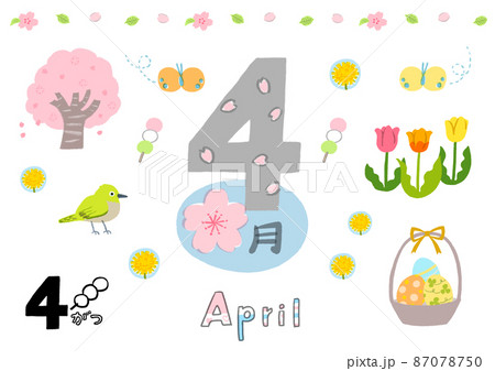 めじろんの写真素材