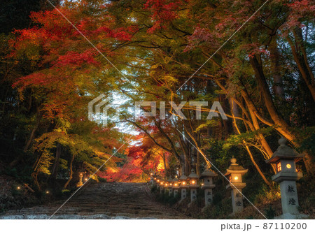 胡宮神社 綺麗の写真素材