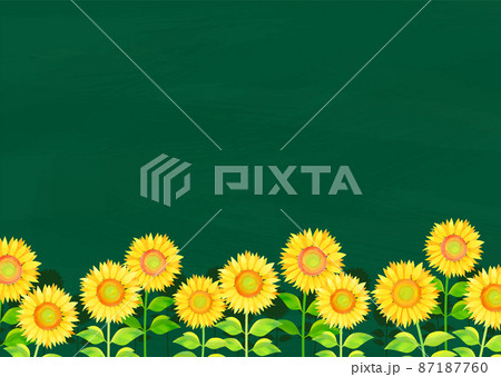 ひまわり 向日葵 黒板 夏のイラスト素材 - PIXTA