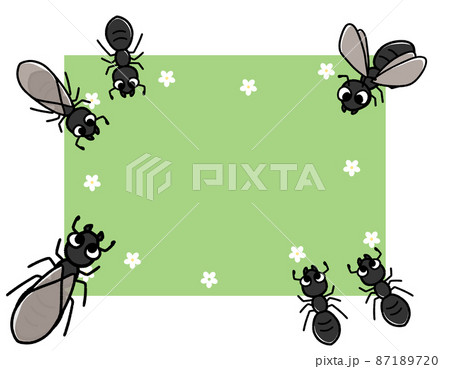 アリ 蟻 のイラスト素材集 ピクスタ