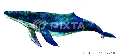 クジラ 鯨 のイラスト素材集 ピクスタ