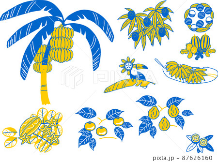 バナナの木のイラスト素材