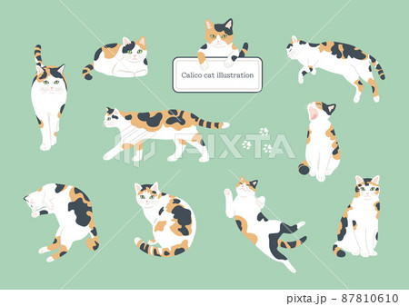 三毛猫のイラスト素材集 ピクスタ