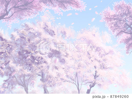 桜の木のイラスト素材集 ピクスタ