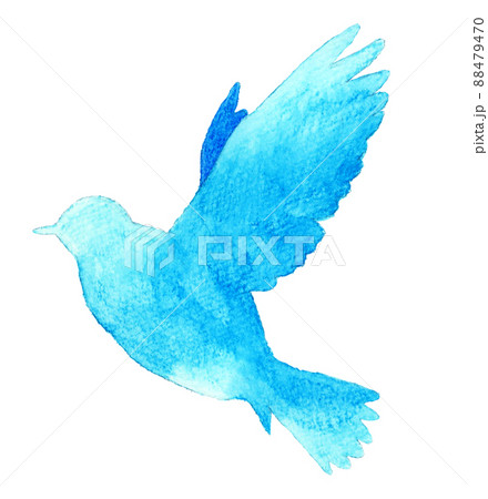 鳥 水彩 羽ばたく 青い鳥のイラスト素材