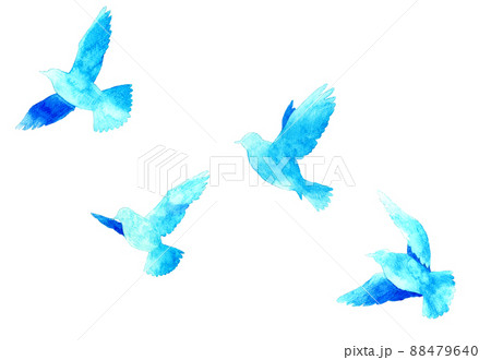 鳥 水彩 羽ばたく シルエットのイラスト素材 - PIXTA