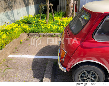 春、黄色のフリージアと赤いミニクーパー