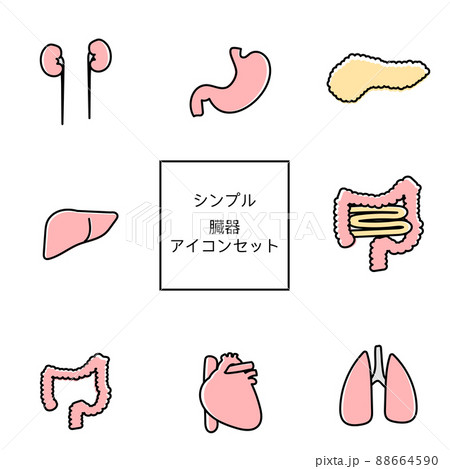 消化管のイラスト素材