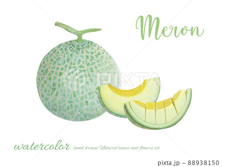 メロンのイラスト素材集 ピクスタ メロンのイラスト素材集 ピクスタ