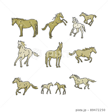 動物 馬 線画 イラストのイラスト素材