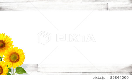 背景 ひまわり 向日葵 おしゃれの写真素材
