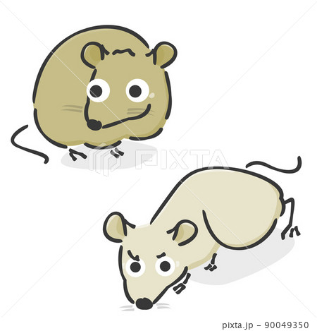 ラット かわいいのイラスト素材