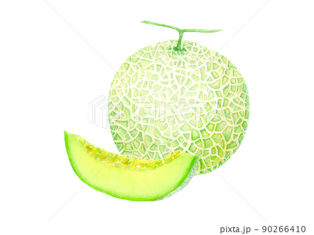 メロンのイラスト素材集 ピクスタ
