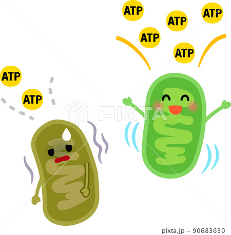 ミトコンドリアのイラスト素材