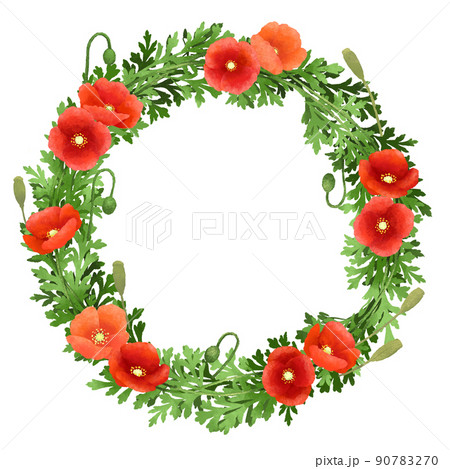 丸い花 緑色の写真素材