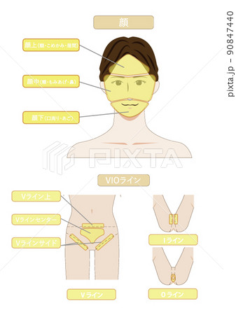 Smlのイラスト素材