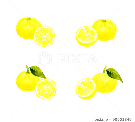 ゆずのイラスト素材集 ピクスタ ゆずのイラスト素材集 ピクスタ