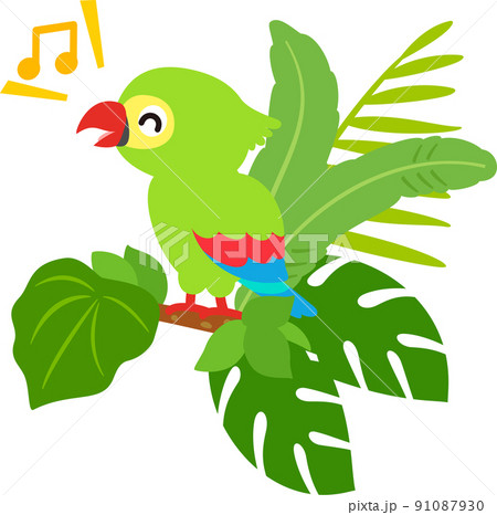 インコ オウムのイラスト素材集 ピクスタ