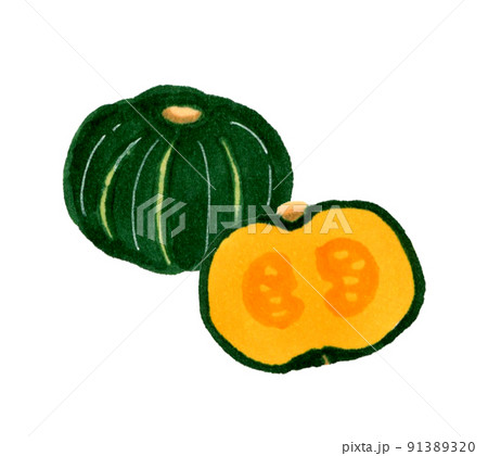 かぼちゃ畑のイラスト素材