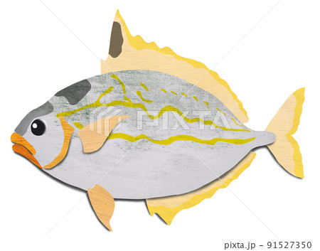 棘のある魚の写真素材