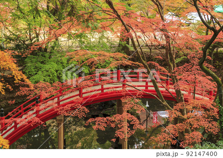 油絵「 赤い太鼓橋 」P10号 油絵「 赤い太鼓橋 」P10号