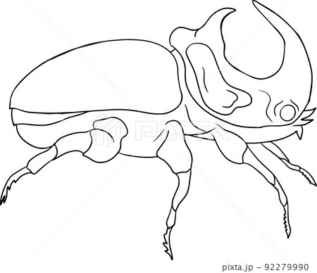 かぶと虫のイラスト素材