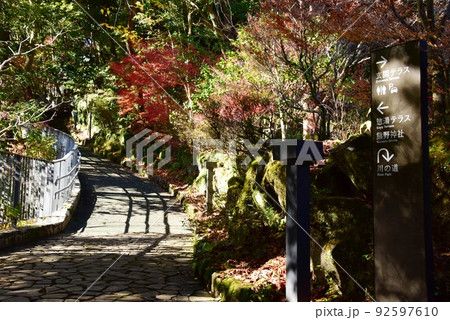 湯河原 万葉公園 紅葉 青空の写真素材