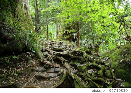 三徳山三佛寺投入堂の写真素材 - PIXTA