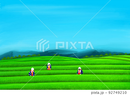 茶摘みのイラスト素材 茶摘みのイラスト素材