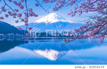 富士山 逆さ富士 春 桜の写真素材 - PIXTA