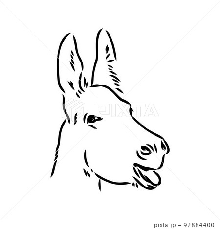 ロバ イラスト かわいいの写真素材