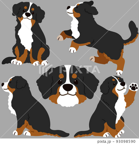 イラスト 動物 犬 走るの写真素材
