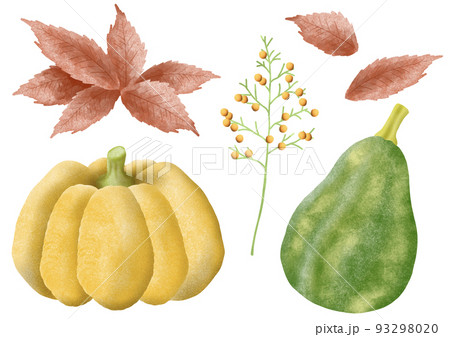 かぼちゃの葉っぱのイラスト素材