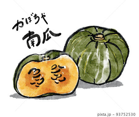 墨絵 かぼちゃ 野菜 日本画のイラスト素材 - PIXTA