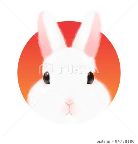 うさぎ 動物 ウサギ リアルのイラスト素材