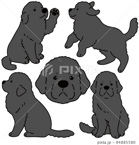 イラスト 動物 犬 走るの写真素材
