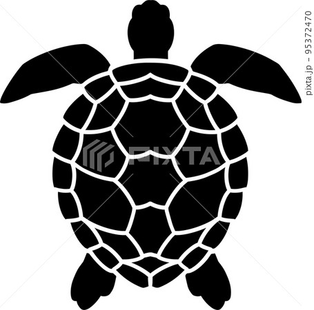 ウミガメ ハワイのイラスト素材